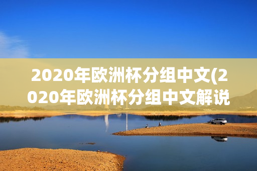 2020年欧洲杯分组中文(2020年欧洲杯分组中文解说)