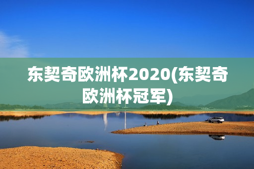 东契奇欧洲杯2020(东契奇欧洲杯冠军)