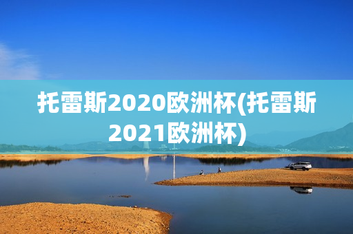 托雷斯2020欧洲杯(托雷斯2021欧洲杯)