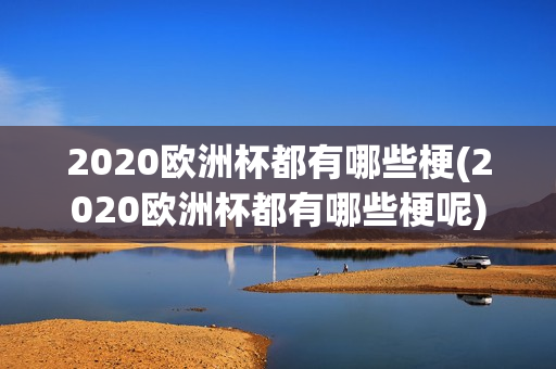 2020欧洲杯都有哪些梗(2020欧洲杯都有哪些梗呢)