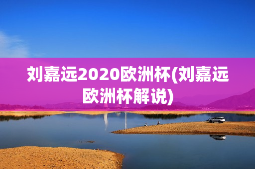 刘嘉远2020欧洲杯(刘嘉远欧洲杯解说)