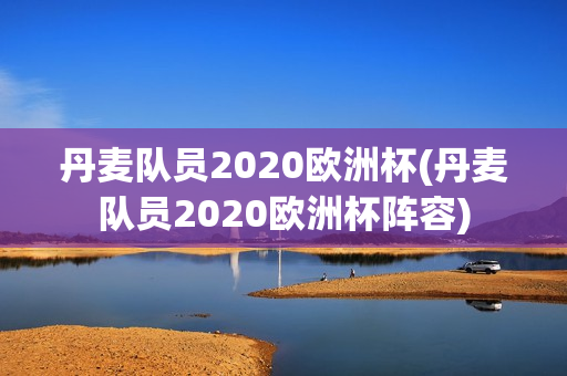 丹麦队员2020欧洲杯(丹麦队员2020欧洲杯阵容)