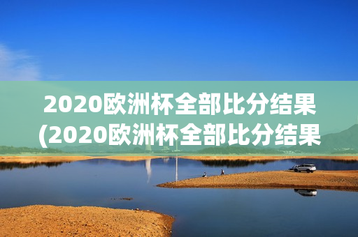 2020欧洲杯全部比分结果(2020欧洲杯全部比分结果表格)