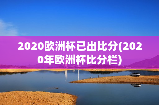 2020欧洲杯已出比分(2020年欧洲杯比分栏)