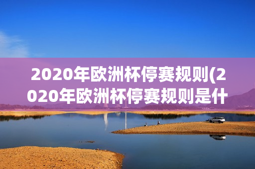 2020年欧洲杯停赛规则(2020年欧洲杯停赛规则是什么)