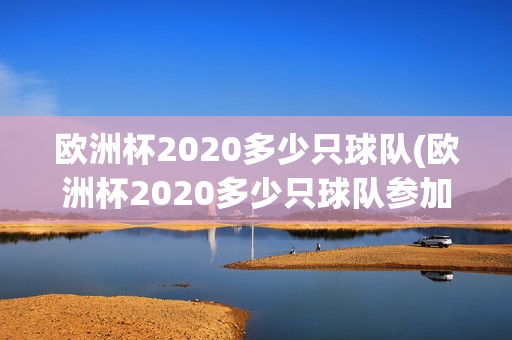 欧洲杯2020多少只球队(欧洲杯2020多少只球队参加)