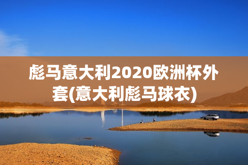 彪马意大利2020欧洲杯外套(意大利彪马球衣)