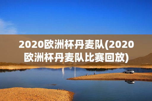 2020欧洲杯丹麦队(2020欧洲杯丹麦队比赛回放)