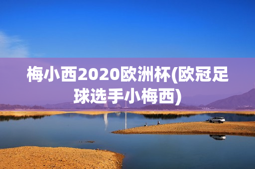 梅小西2020欧洲杯(欧冠足球选手小梅西)