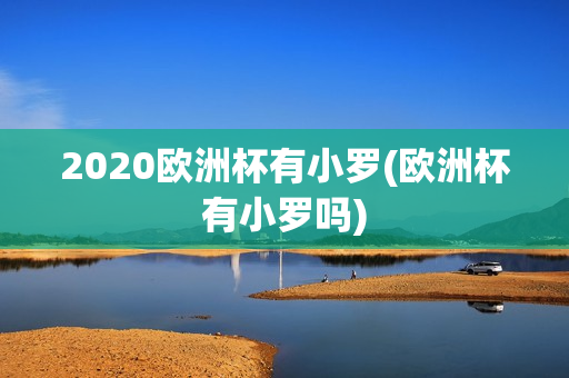 2020欧洲杯有小罗(欧洲杯有小罗吗)