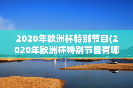 2020年欧洲杯特别节目(2020年欧洲杯特别节目有哪些)