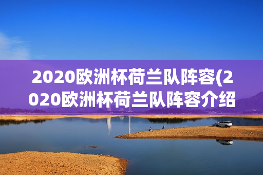 2020欧洲杯荷兰队阵容(2020欧洲杯荷兰队阵容介绍)