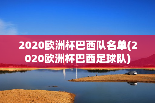 2020欧洲杯巴西队名单(2020欧洲杯巴西足球队)