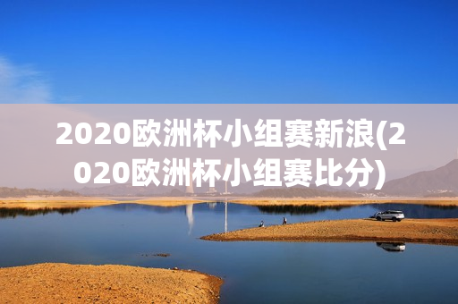 2020欧洲杯小组赛新浪(2020欧洲杯小组赛比分)