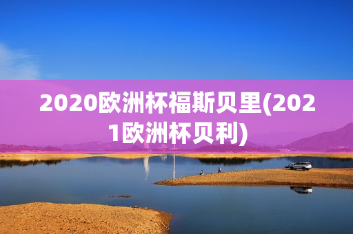 2020欧洲杯福斯贝里(2021欧洲杯贝利)