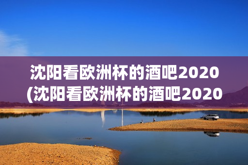 沈阳看欧洲杯的酒吧2020(沈阳看欧洲杯的酒吧2020年)