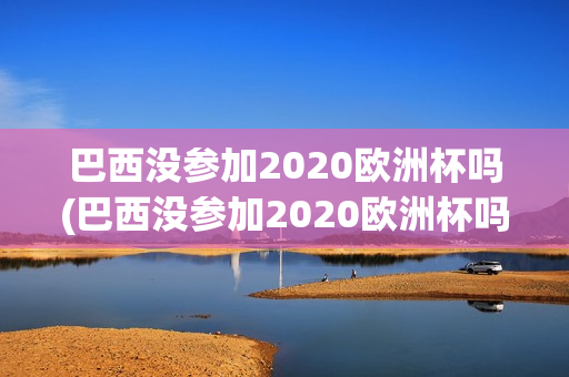 巴西没参加2020欧洲杯吗(巴西没参加2020欧洲杯吗)