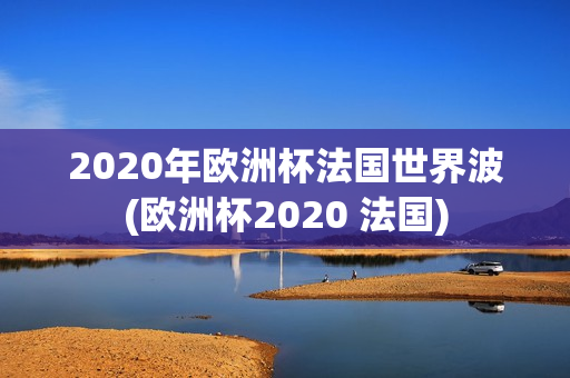 2020年欧洲杯法国世界波(欧洲杯2020 法国)