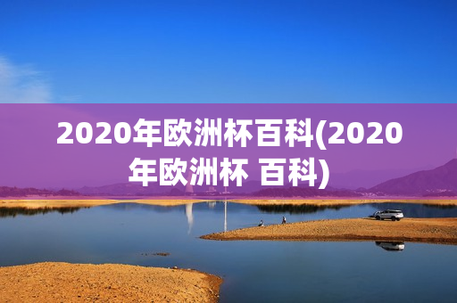 2020年欧洲杯百科(2020年欧洲杯 百科)