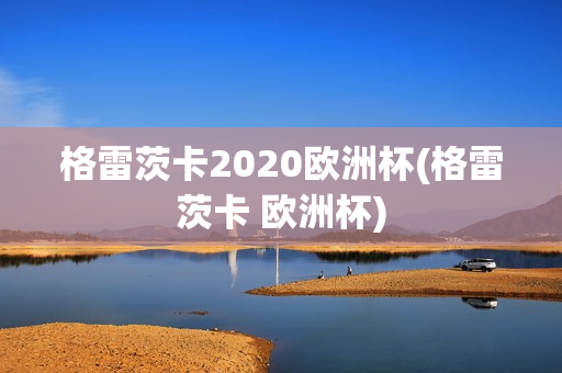 格雷茨卡2020欧洲杯(格雷茨卡 欧洲杯)