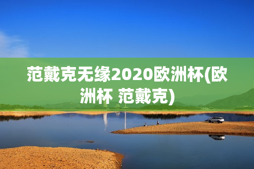 范戴克无缘2020欧洲杯(欧洲杯 范戴克)