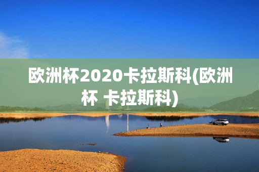 欧洲杯2020卡拉斯科(欧洲杯 卡拉斯科)