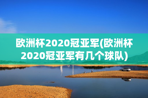 欧洲杯2020冠亚军(欧洲杯2020冠亚军有几个球队)