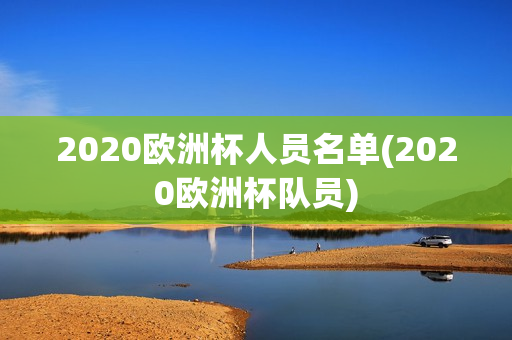 2020欧洲杯人员名单(2020欧洲杯队员)