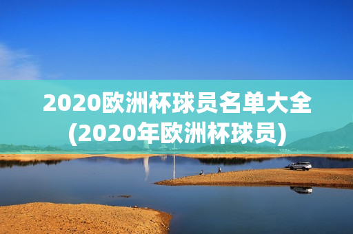 2020欧洲杯球员名单大全(2020年欧洲杯球员)