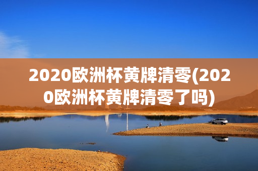 2020欧洲杯黄牌清零(2020欧洲杯黄牌清零了吗)