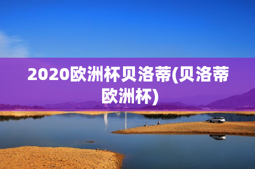 2020欧洲杯贝洛蒂(贝洛蒂 欧洲杯)