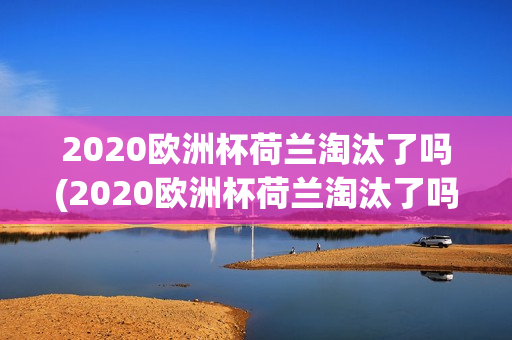 2020欧洲杯荷兰淘汰了吗(2020欧洲杯荷兰淘汰了吗)