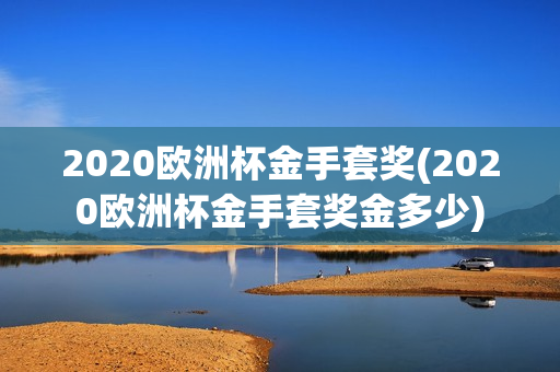 2020欧洲杯金手套奖(2020欧洲杯金手套奖金多少)