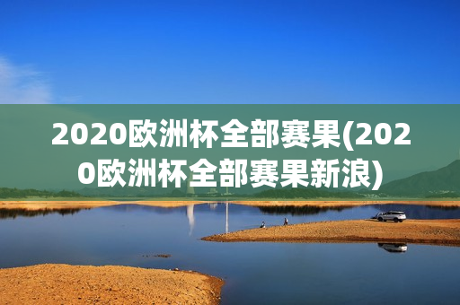 2020欧洲杯全部赛果(2020欧洲杯全部赛果新浪)