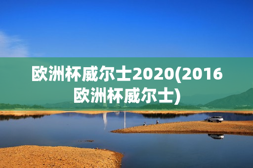 欧洲杯威尔士2020(2016欧洲杯威尔士)