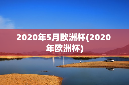 2020年5月欧洲杯(2020 年欧洲杯)