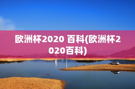 欧洲杯2020 百科(欧洲杯2020百科)