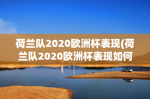 荷兰队2020欧洲杯表现(荷兰队2020欧洲杯表现如何)