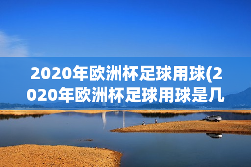 2020年欧洲杯足球用球(2020年欧洲杯足球用球是几号球)