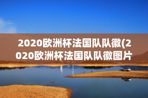 2020欧洲杯法国队队徽(2020欧洲杯法国队队徽图片)