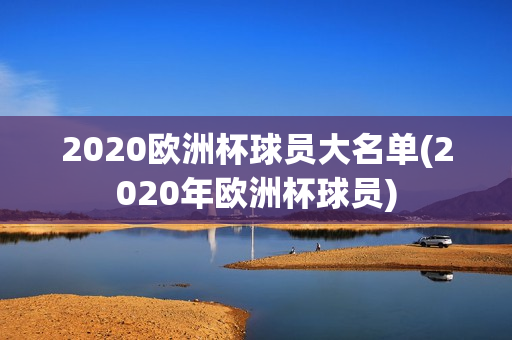 2020欧洲杯球员大名单(2020年欧洲杯球员)