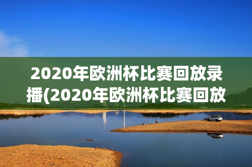 2020年欧洲杯比赛回放录播(2020年欧洲杯比赛回放录播视频)