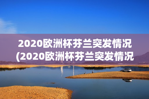 2020欧洲杯芬兰突发情况(2020欧洲杯芬兰突发情况视频)