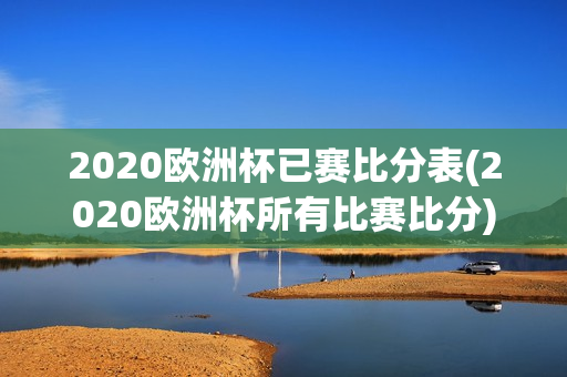 2020欧洲杯已赛比分表(2020欧洲杯所有比赛比分)