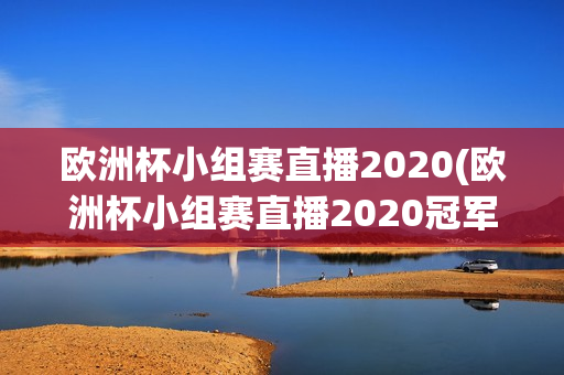 欧洲杯小组赛直播2020(欧洲杯小组赛直播2020冠军)