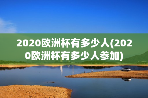 2020欧洲杯有多少人(2020欧洲杯有多少人参加)