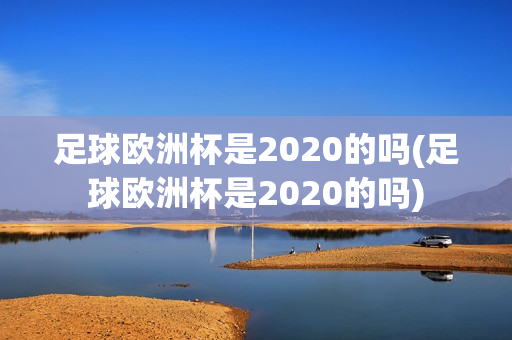 足球欧洲杯是2020的吗(足球欧洲杯是2020的吗)