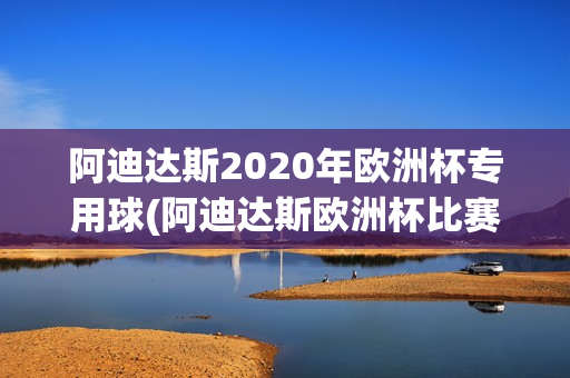 阿迪达斯2020年欧洲杯专用球(阿迪达斯欧洲杯比赛用球)