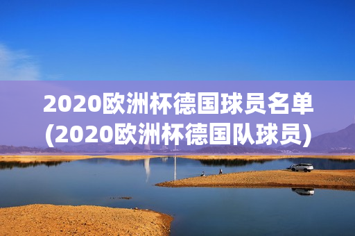 2020欧洲杯德国球员名单(2020欧洲杯德国队球员)