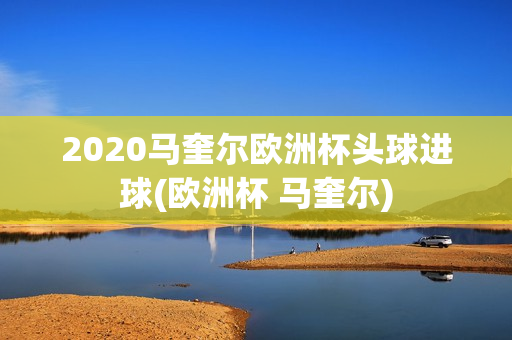 2020马奎尔欧洲杯头球进球(欧洲杯 马奎尔)